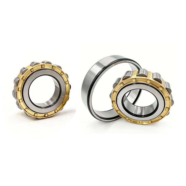Low Friction Nj204 Nu205 N206 Cylindrical Roller Bearings for High Speed Motors