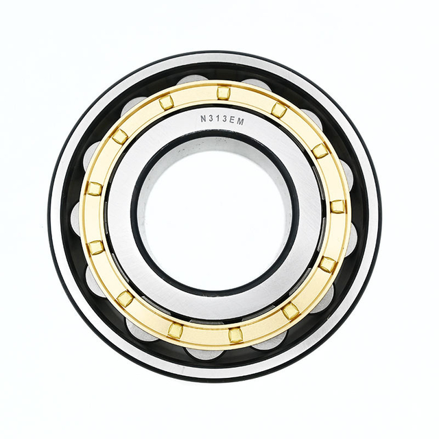 Top Quality Long Life N313 Etn Ew Cylindrical Roller Bearing for Industry