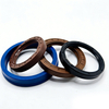 High Quality Oil Seals for Automotive Engine and Transmission Systems