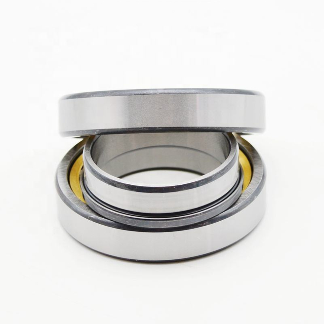 Advanced Load Capacity Nj1010 Nj1009 Nj1011 Cylindrical Roller Bearing for Reducer